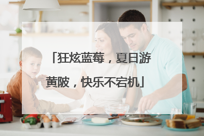 狂炫蓝莓，夏日游黄陂，快乐不宕机
